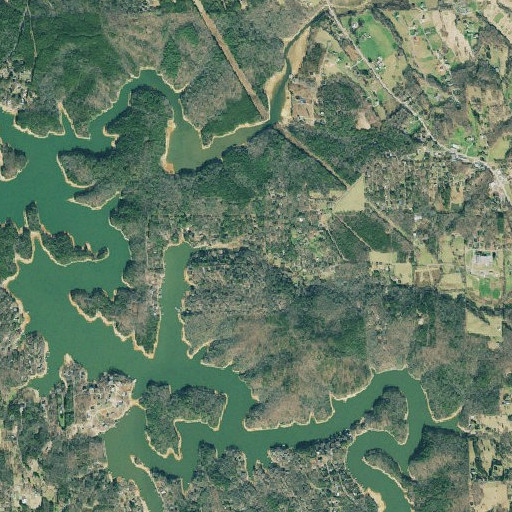 Aerial imagery of Reece Creek, GA