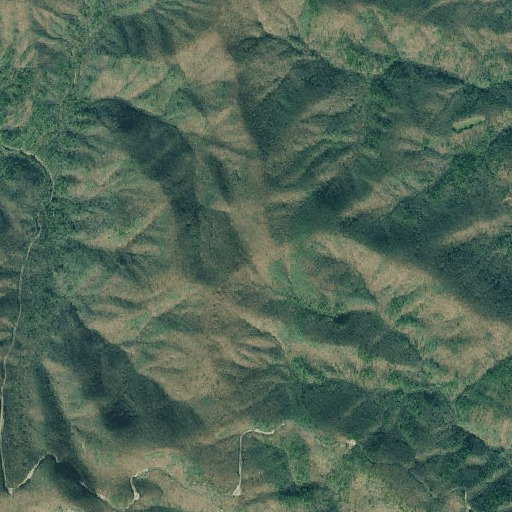 Aerial imagery of Sapling Gap, GA