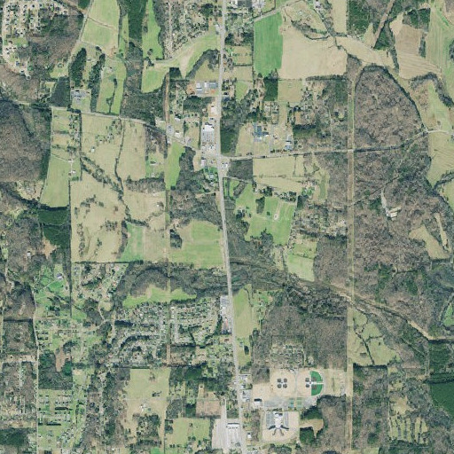 Aerial imagery of Station Branch, GA