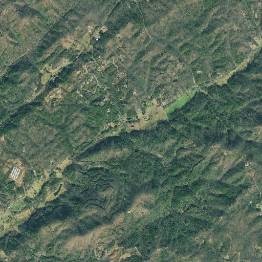 Aerial imagery of Tarpley Branch, GA