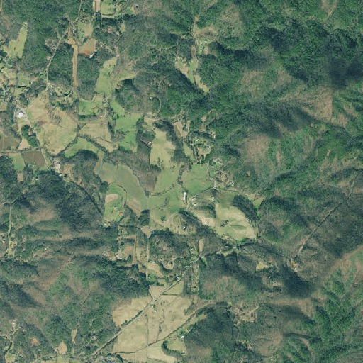 Aerial imagery of Townsend Branch, GA