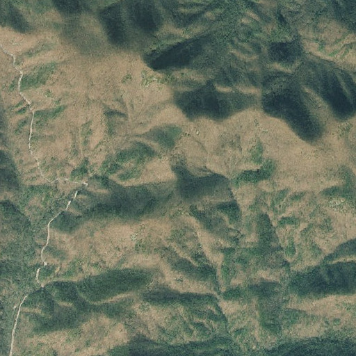 Aerial imagery of Turkeypen Gap, GA