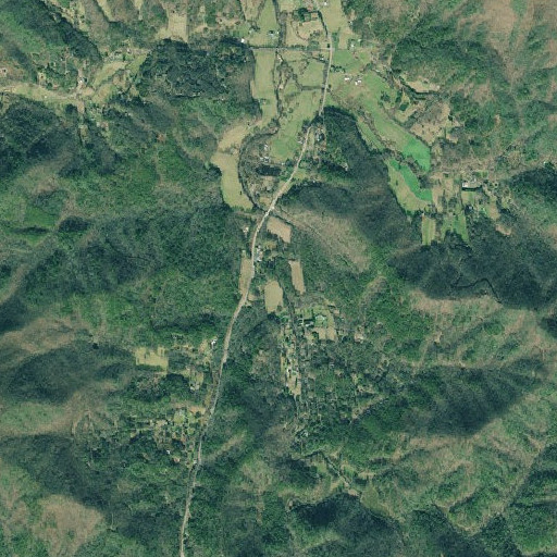 Aerial imagery of Wheeler Branch, GA