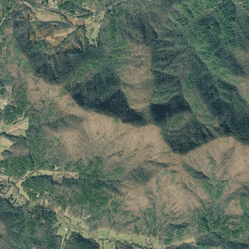 Aerial imagery of White Walnut Gap, GA