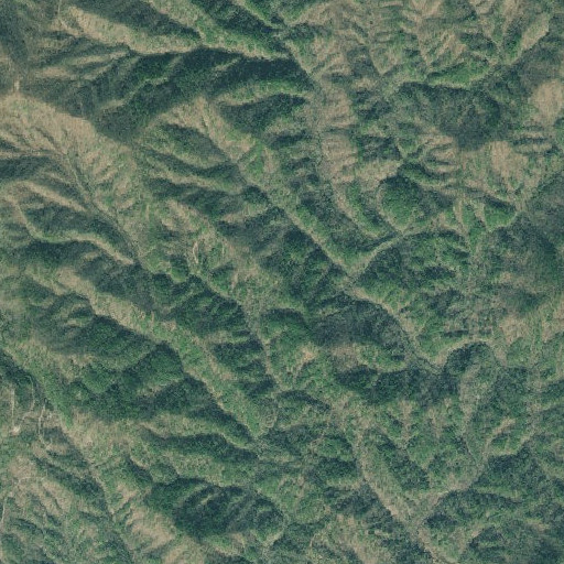 Aerial imagery of Bear Pen Gap, GA