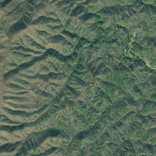 Aerial imagery of Bee Knob Gap, GA