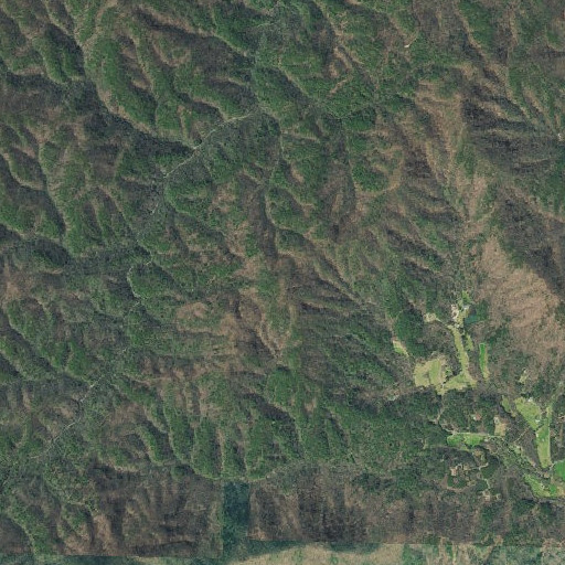 Aerial imagery of Bruce Top, GA