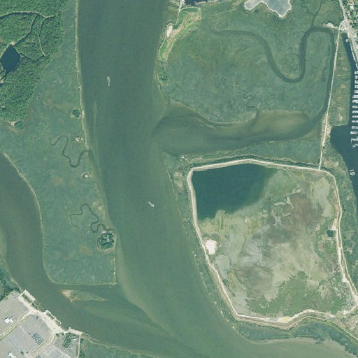 Aerial imagery of Buzzards Roost, GA