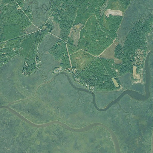 Aerial imagery of Dover Bluff, GA