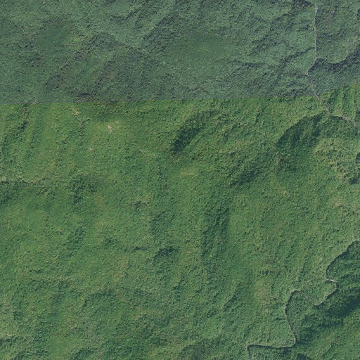 Aerial imagery of Redside Mountain, GA