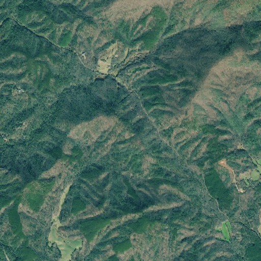 Aerial imagery of Sillycook Mountain, GA