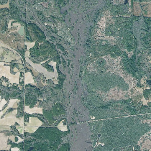 Aerial imagery of Walker Ford, GA
