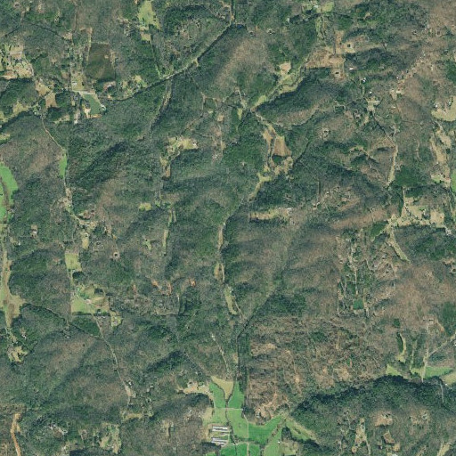 Aerial imagery of Wright Mill, GA