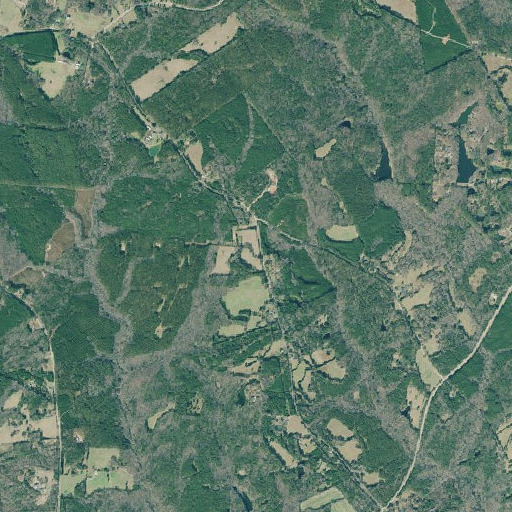 Aerial imagery of Agnes School (historical), GA