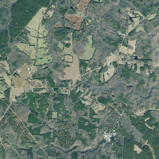 Aerial imagery of Wards School (historical), GA