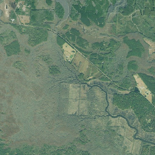 Aerial imagery of Buffalo Creek, GA