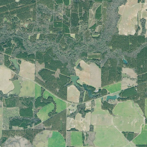 Aerial imagery of New Leonard Spring, GA