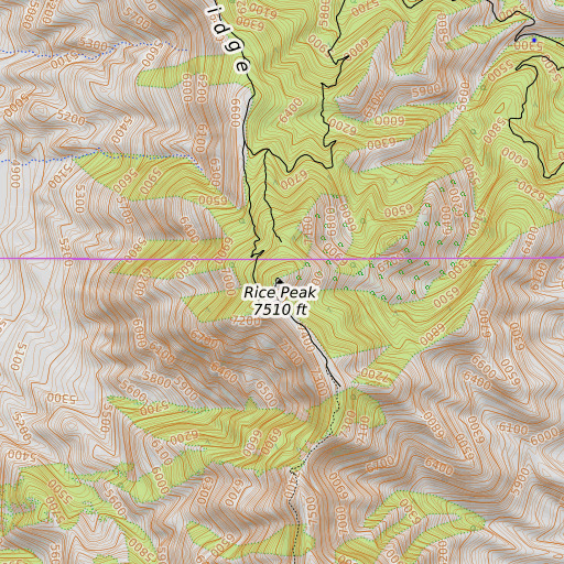 OpenTopoMap map of Rice Peak, AZ