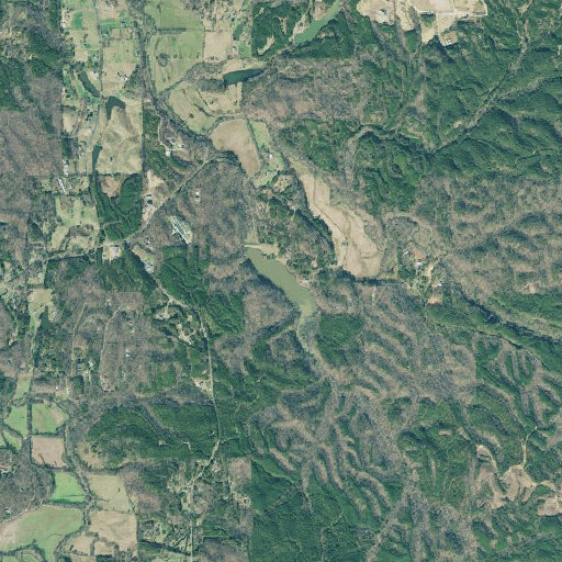 Aerial imagery of Young-Wright Lake, GA