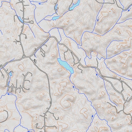 OpenTopoMap map of Young-Wright Lake, GA