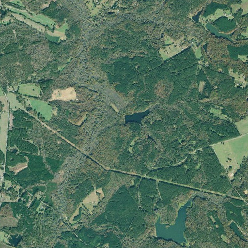Aerial imagery of Arnold Dam, GA