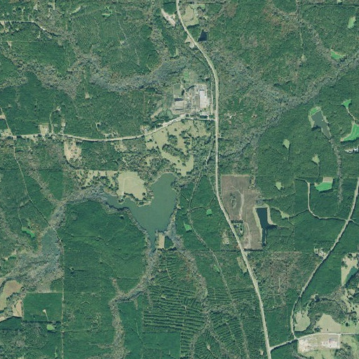 Aerial imagery of Mathis Dam, GA