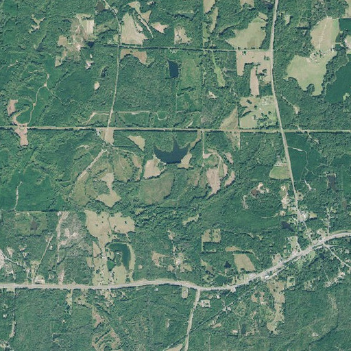 Aerial imagery of Hellens Lake, GA