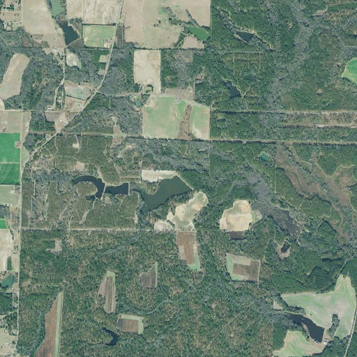 Aerial imagery of Strickland Dam, GA