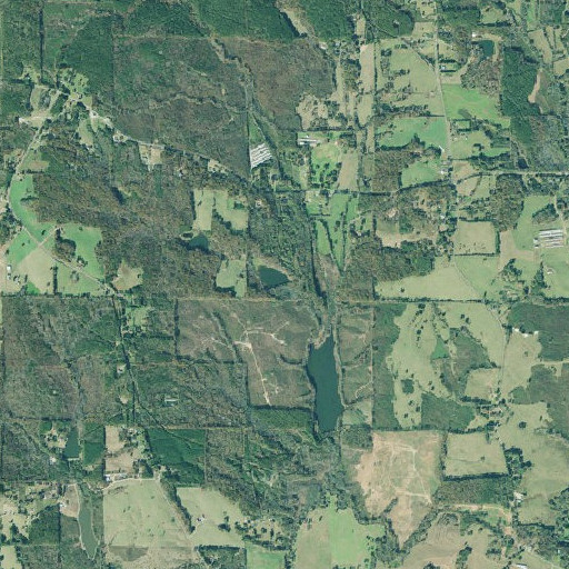 Aerial imagery of Stitcher Lake Dam, GA