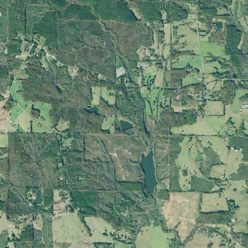 Aerial imagery of Stitcher Lake, GA
