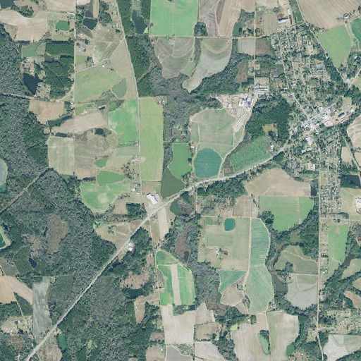 Aerial imagery of Patrick Lake Dam, GA