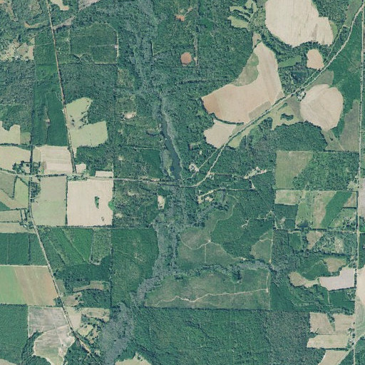 Aerial imagery of Davison Mill, GA