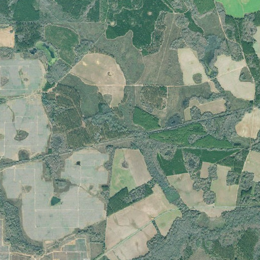 Aerial imagery of Number Five Branch, GA