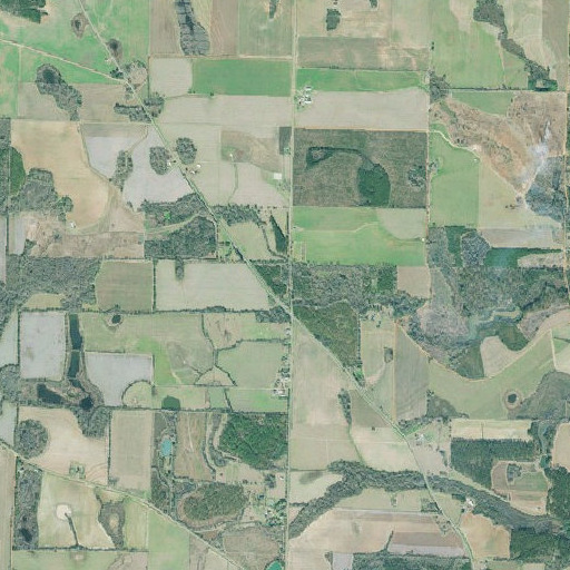 Aerial imagery of Union School (historical), GA