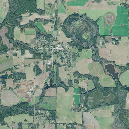 Aerial imagery of Barwick Elementary School, GA