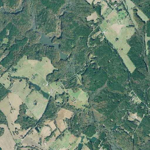 Aerial imagery of Robert Hillsman Bridge, GA