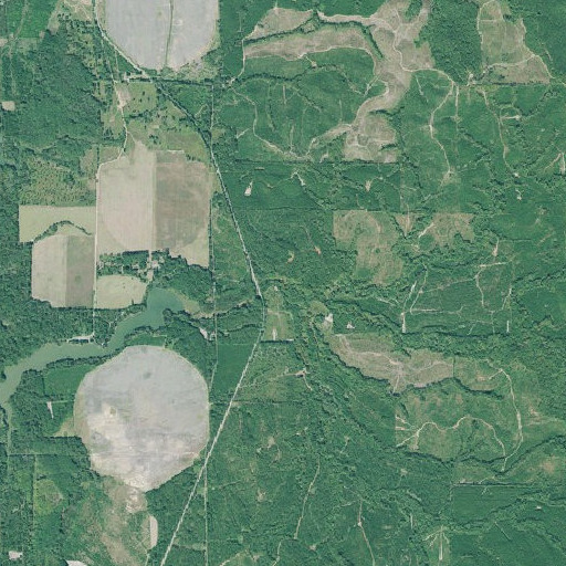 Aerial imagery of Mathias Branch, GA