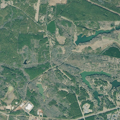 Aerial imagery of Rocky Branch, GA