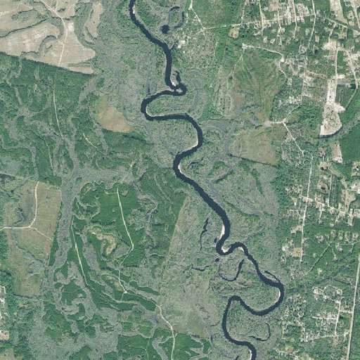 Aerial imagery of Flatwoods Bluff, GA