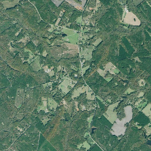 Aerial imagery of Prospect Cemetery, GA