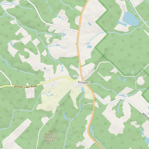 OpenStreetMap map of Prospect Cemetery, GA