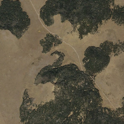 Aerial imagery of Swinborne Spring, AZ