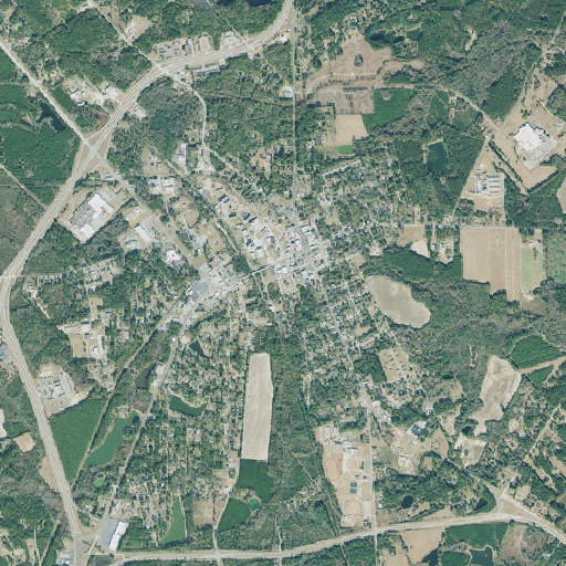Aerial imagery of Sylvania Elementary School, GA