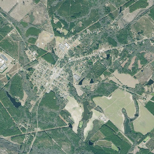 Aerial imagery of Wheeler County Primary School, GA