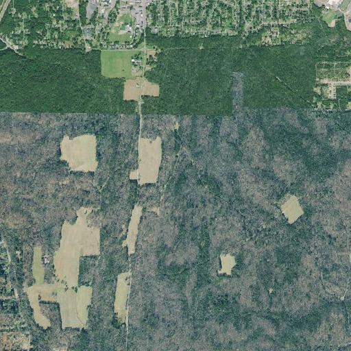 Aerial imagery of Deshier Monument, GA
