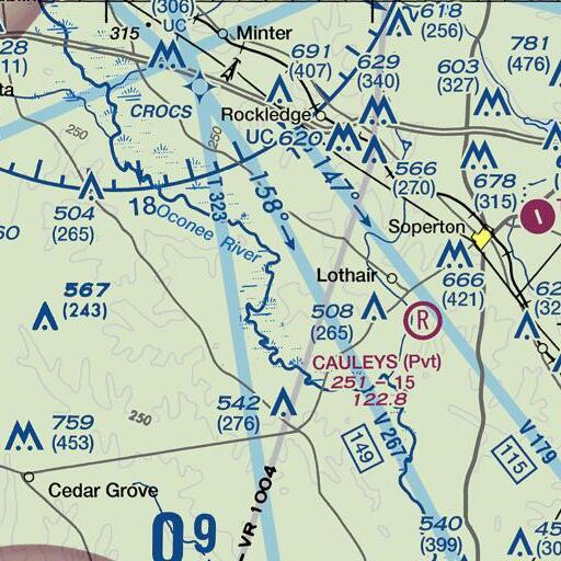 FAA VFR chart of Berry Hill Bluff, GA