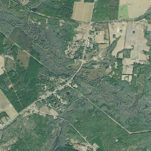 Aerial imagery of Cates Bridge, GA