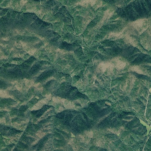 Aerial imagery of Davis Creek, GA
