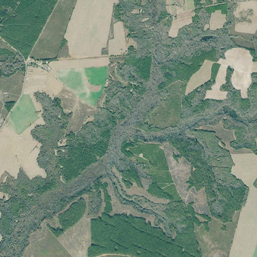 Aerial imagery of Fords Creek, GA