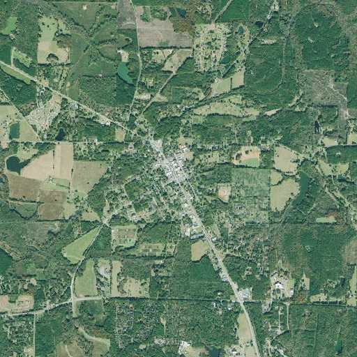 Aerial imagery of Pine Mountain, GA
